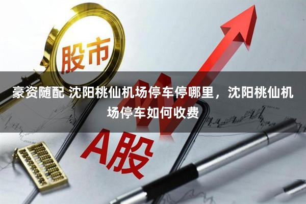 豪资随配 沈阳桃仙机场停车停哪里，沈阳桃仙机场停车如何收费