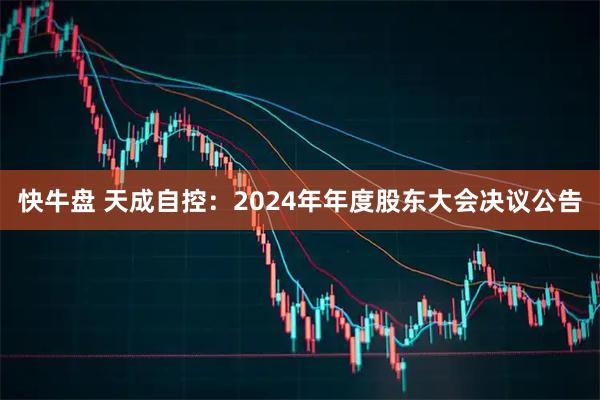 快牛盘 天成自控：2024年年度股东大会决议公告