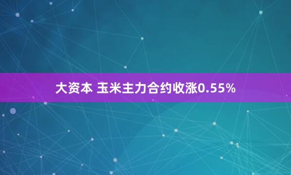大资本 玉米主力合约收涨0.55%
