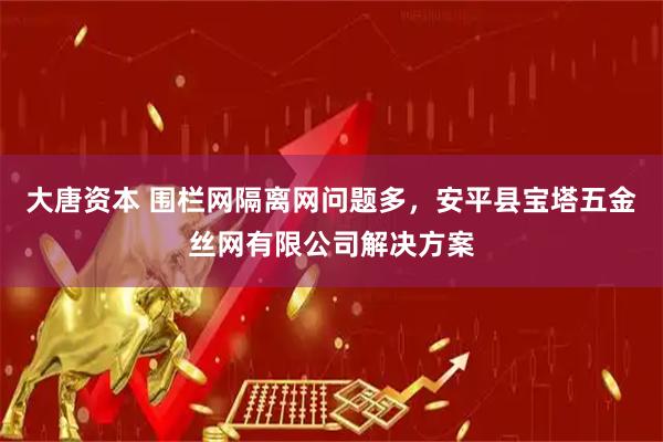 大唐资本 围栏网隔离网问题多，安平县宝塔五金丝网有限公司解决方案