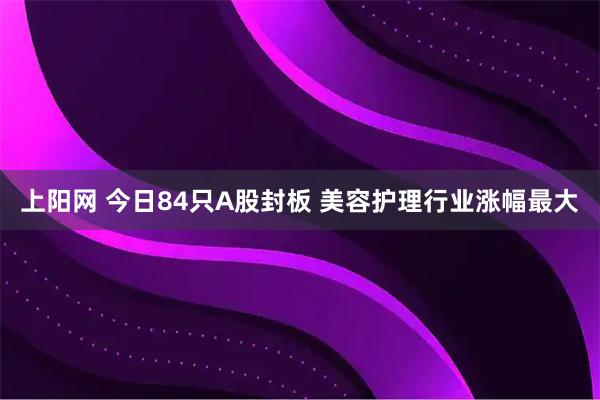 上阳网 今日84只A股封板 美容护理行业涨幅最大