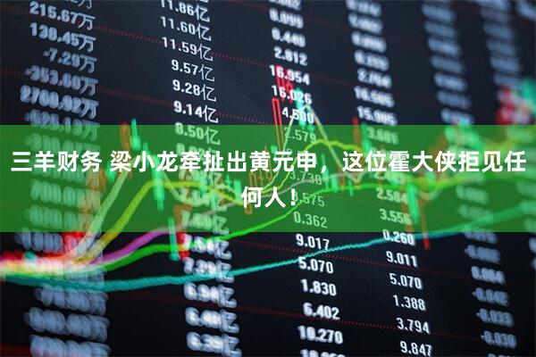 三羊财务 梁小龙牵扯出黄元申，这位霍大侠拒见任何人！