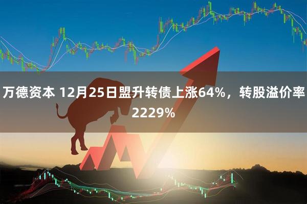 万德资本 12月25日盟升转债上涨64%，转股溢价率2229%