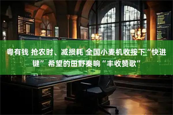 粤有钱 抢农时、减损耗 全国小麦机收按下“快进键” 希望的田野奏响“丰收赞歌”